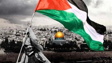 ماذا يحدث في فلسطين